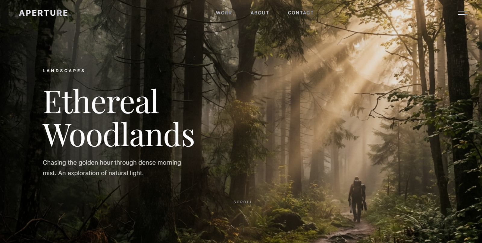 Photographer Portfolio preview